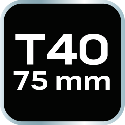Koncovka TORX T40 x 75 mm, S2 x 2 ks. od NEO TOOLS nájdeš na naravis.sk